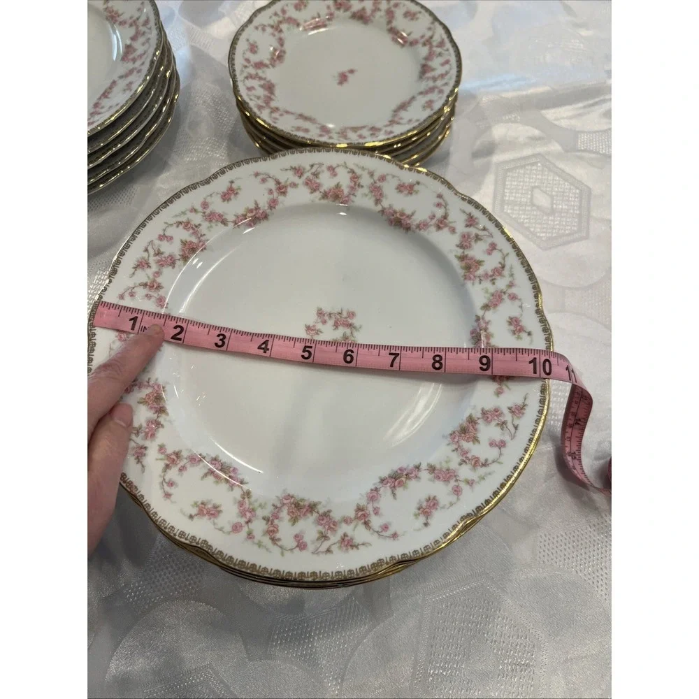 Bridal Rose Vintage‎ Original Lot of 18 Bavaria Schumann Plates Western Germany